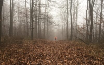 Vadászaton Dél-Somogyban