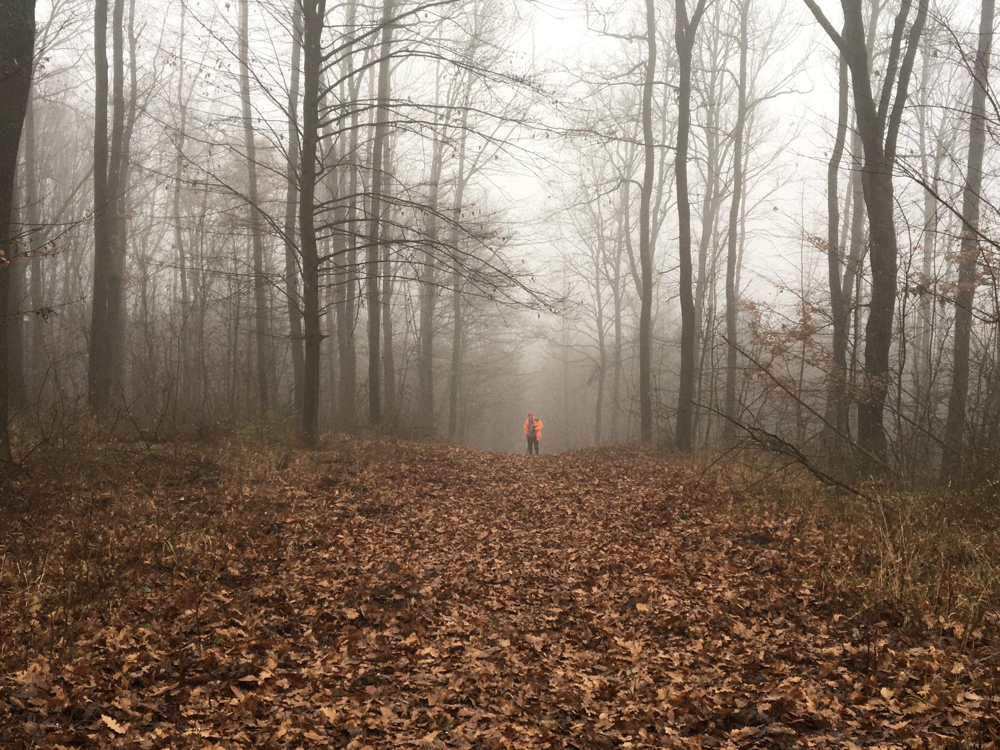 Vadászaton Dél-Somogyban