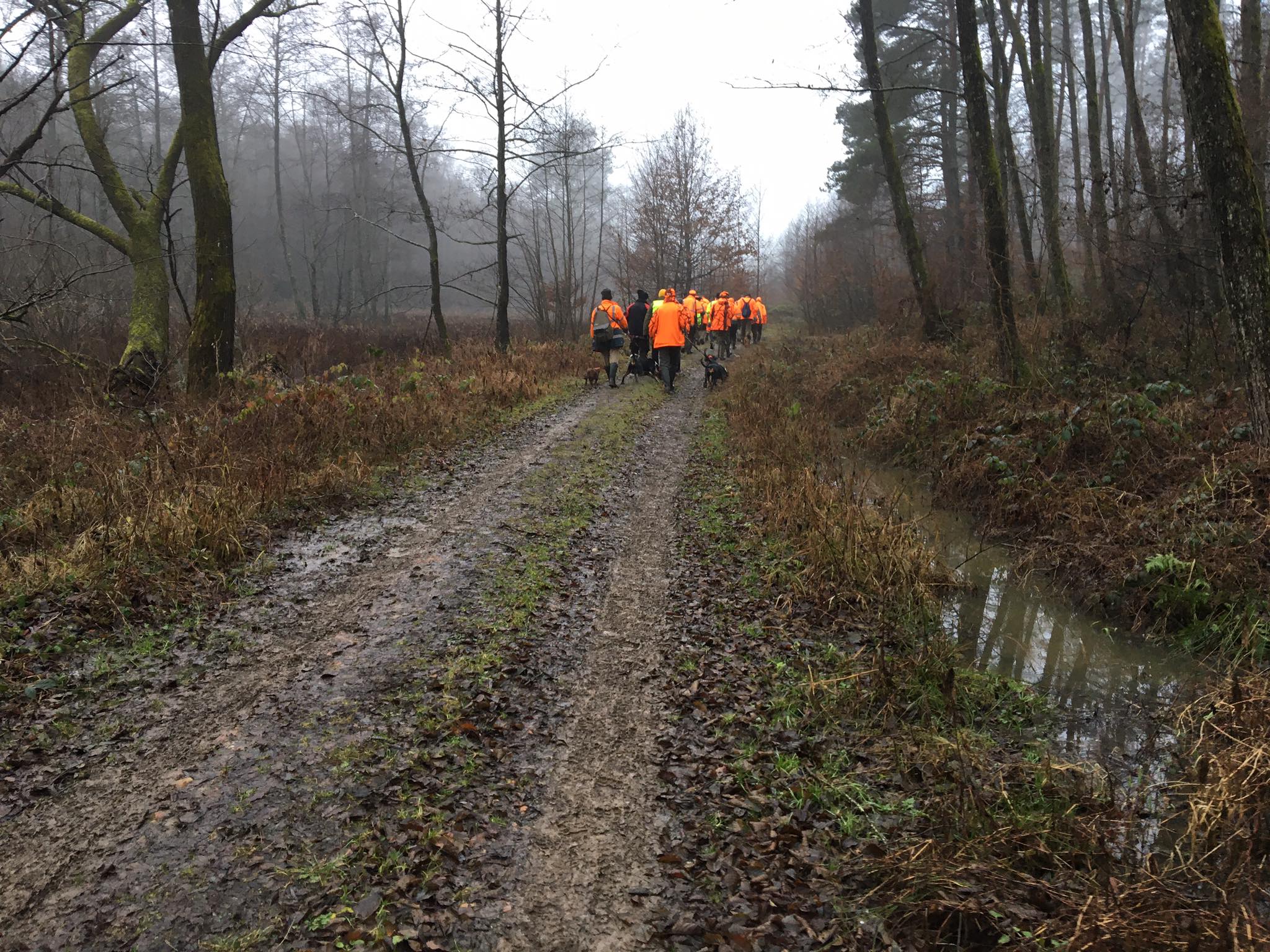 Festői környezetben