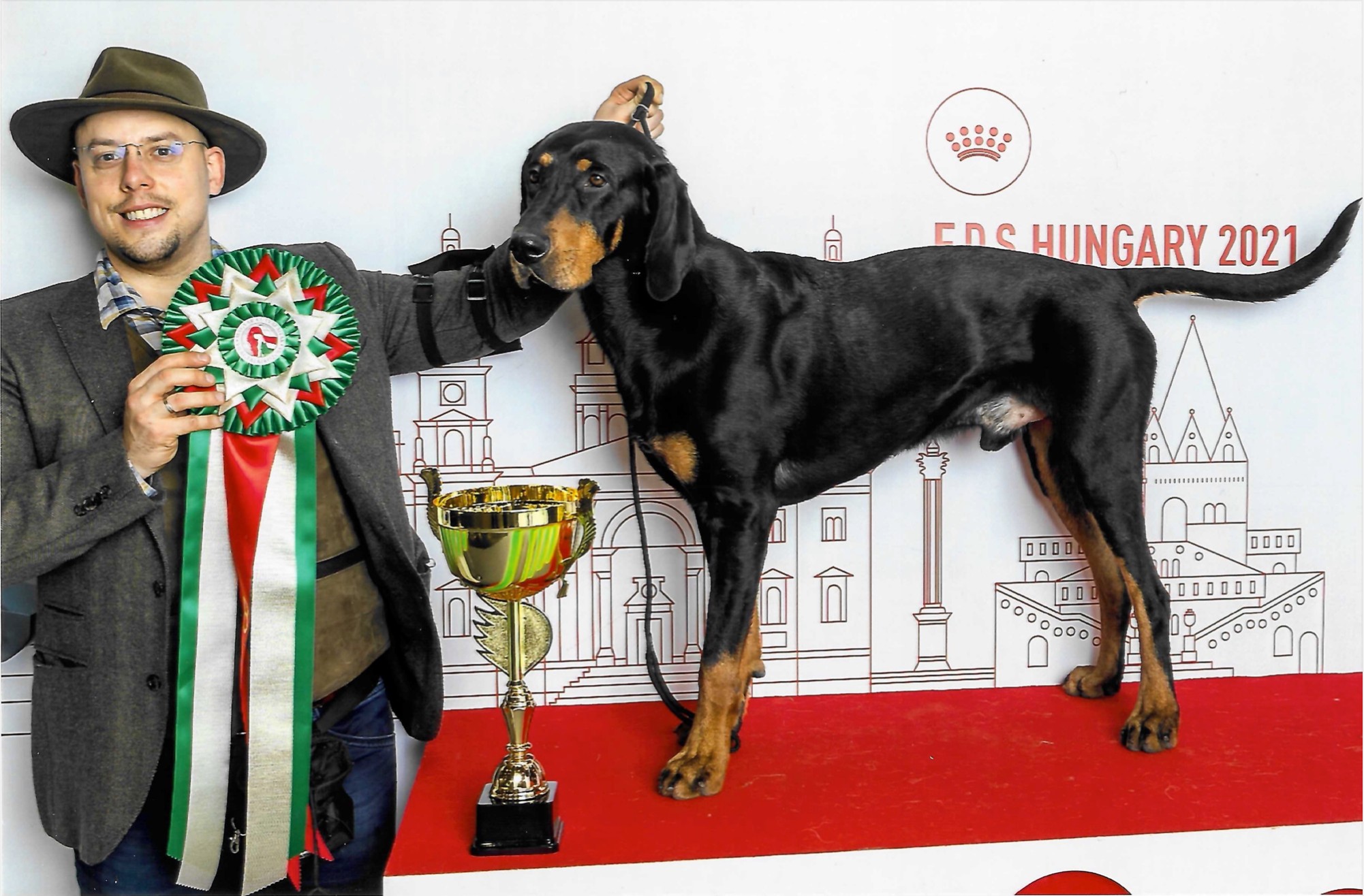 Dongó és Cohárd az év végi megmérettetésen