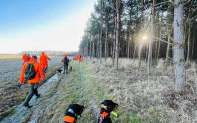 Az őrségi vadonban