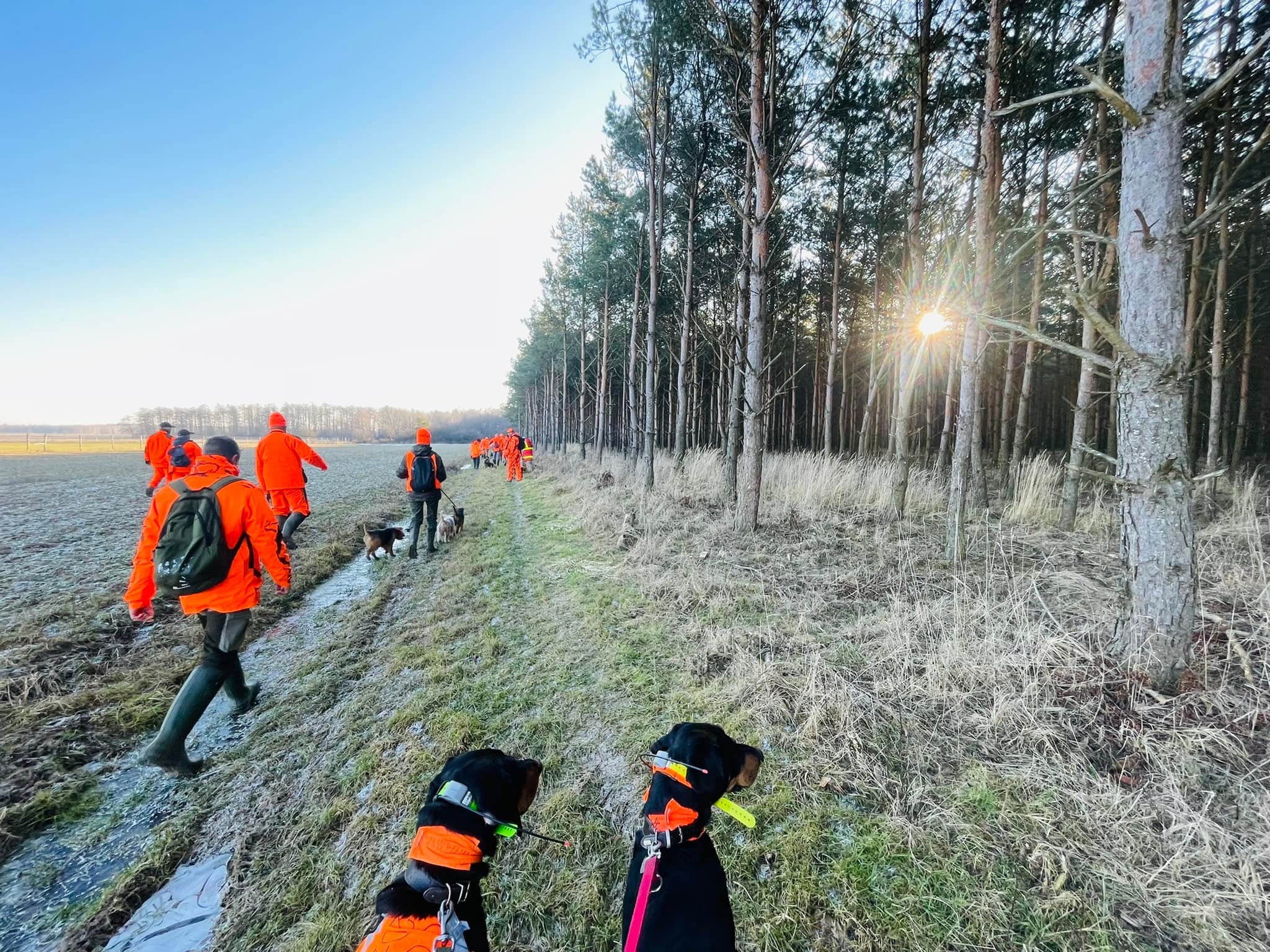 Az őrségi vadonban