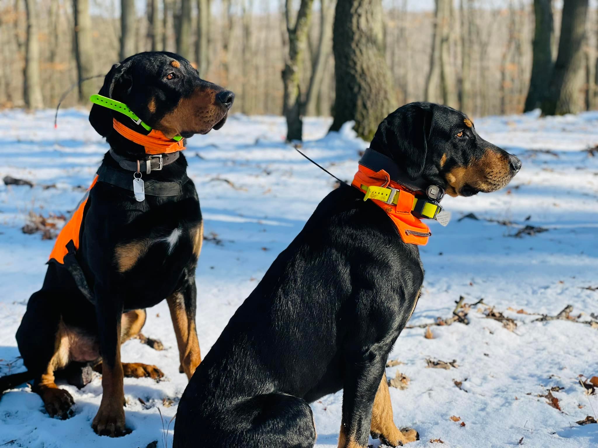 Hó a Tolnai dombságban