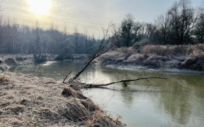 Ezúttal egyedüli erdélyi kopósként hajtottunk