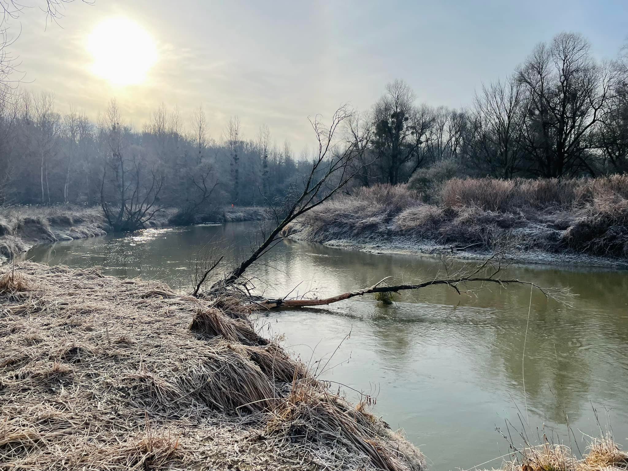 Ezúttal egyedüli erdélyi kopósként hajtottunk