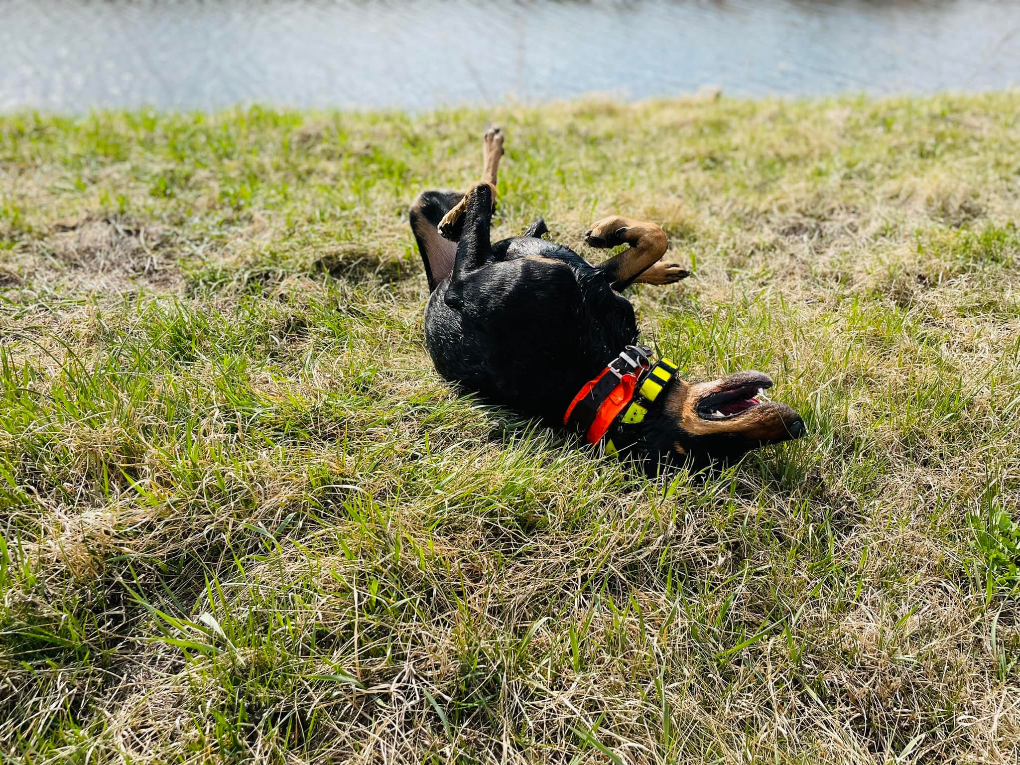 Újabb nyári barangolásaink