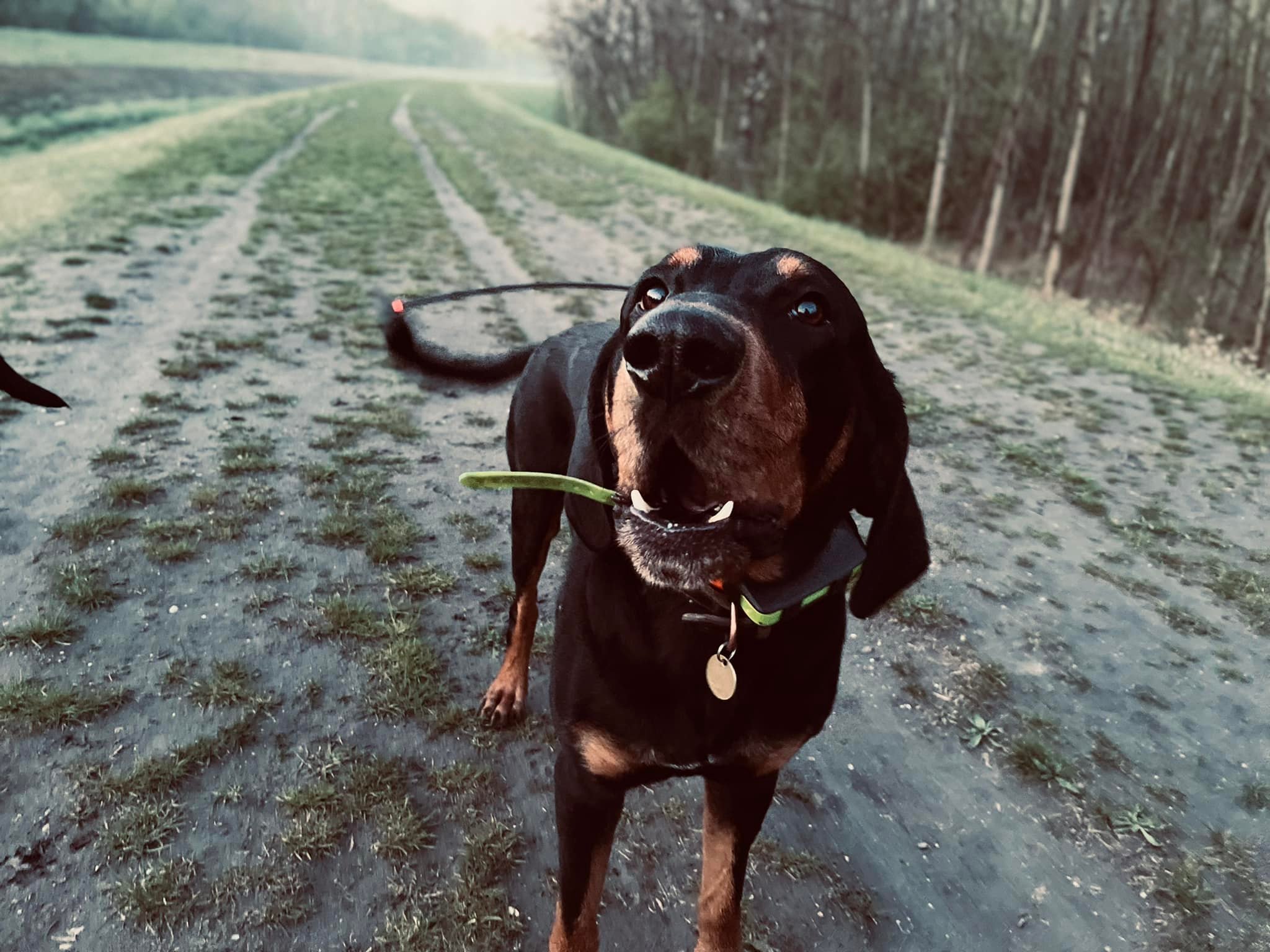 Barangolás a Mogyoródi-patak mentén