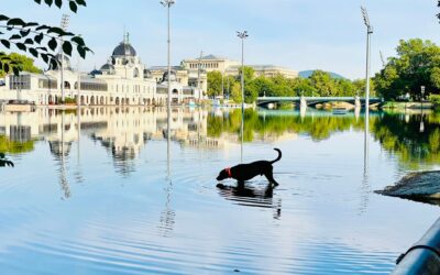 Hajnali séta a Ligetben