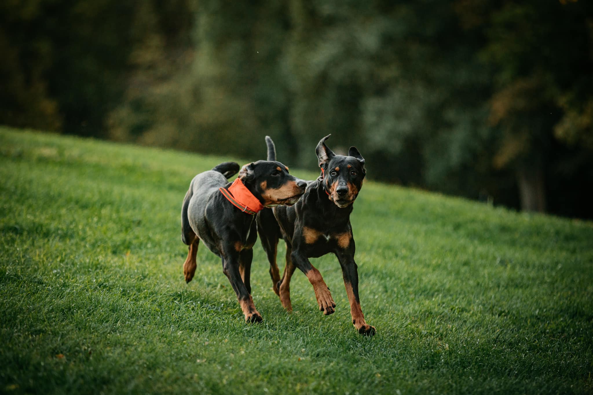 Forgatunk, fotózkodunk, pózolunk