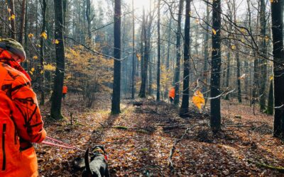 Zala, a mindig kemény