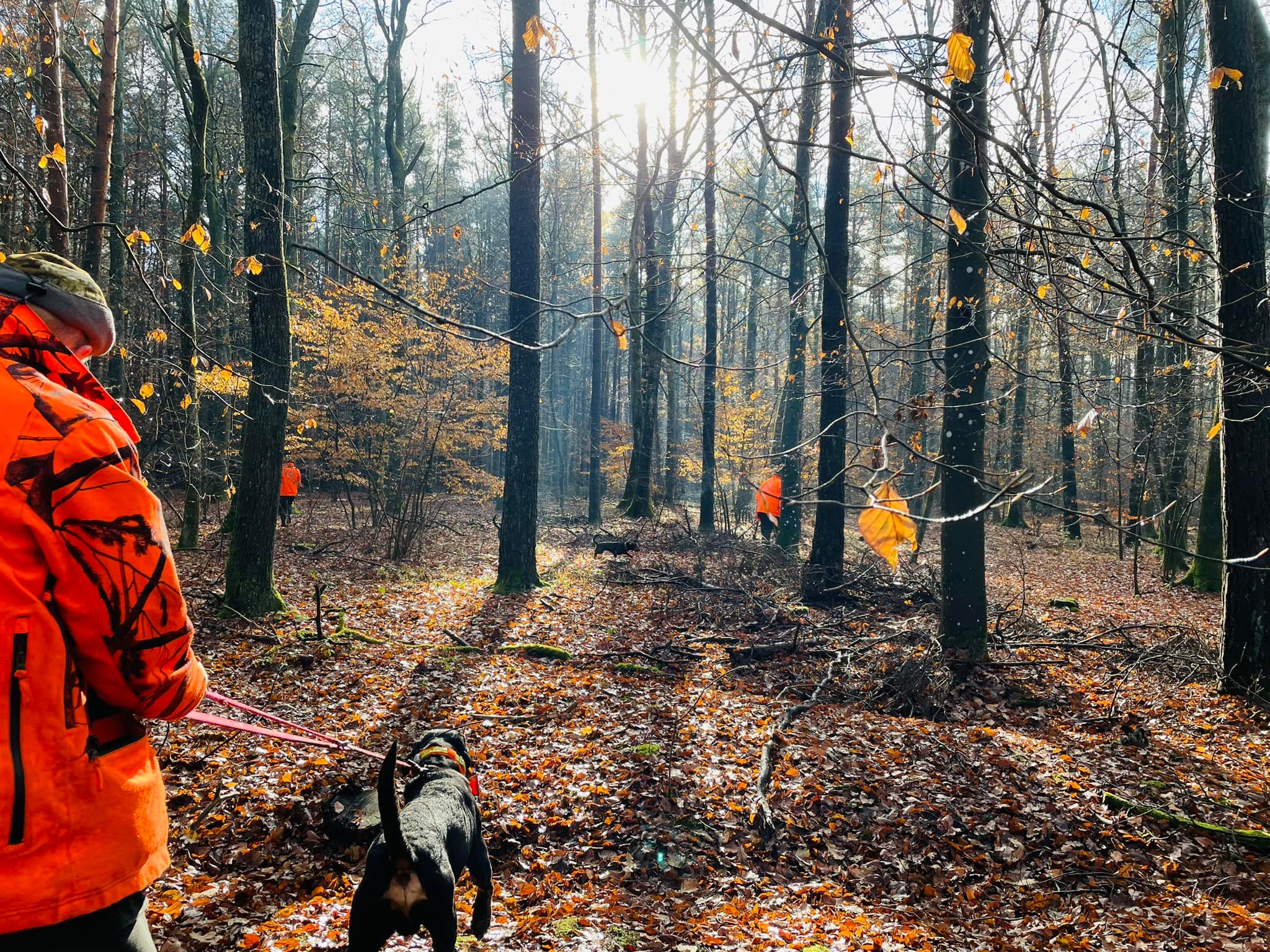 Zala, a mindig kemény