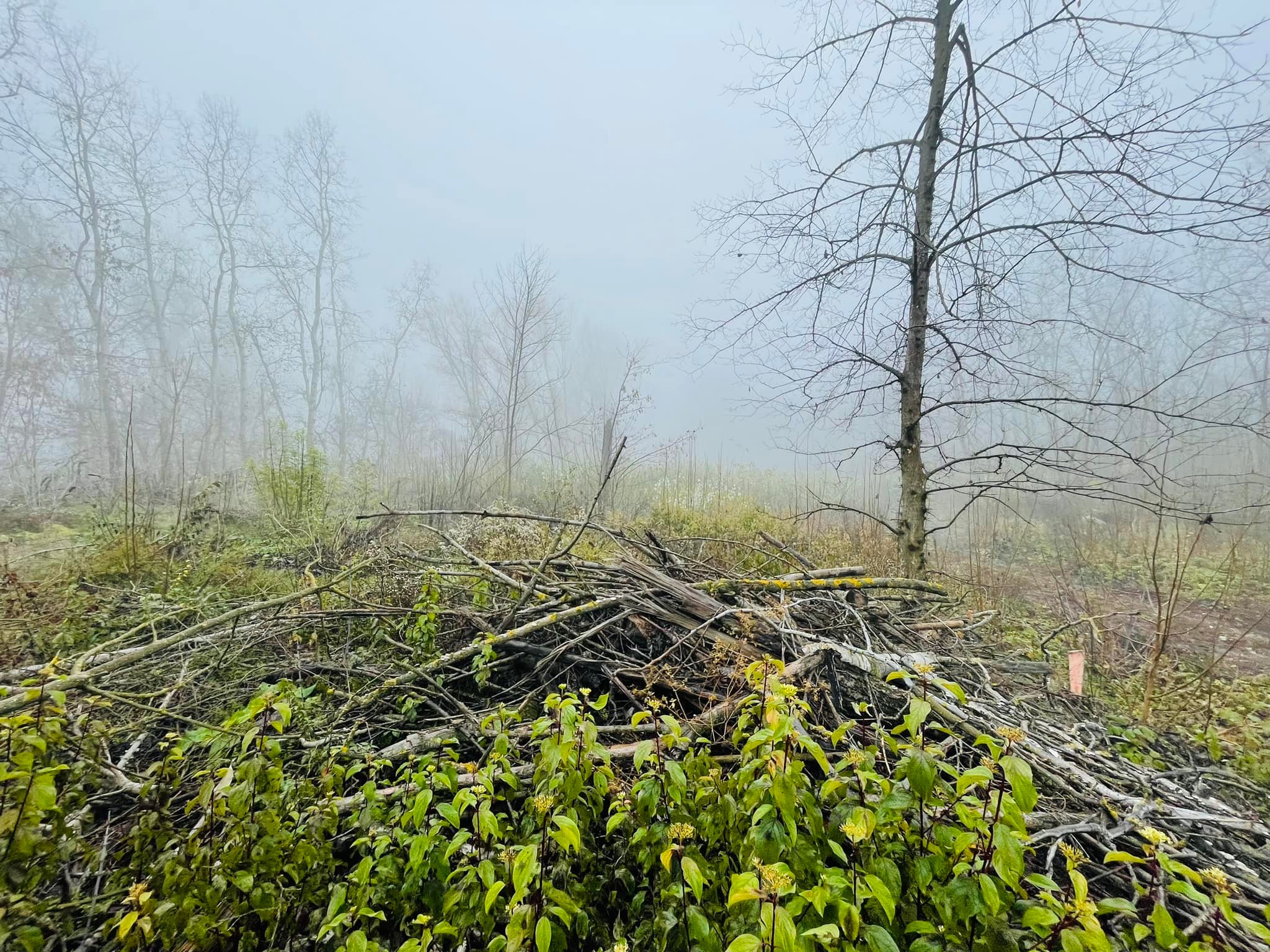 Ártéren és nádban