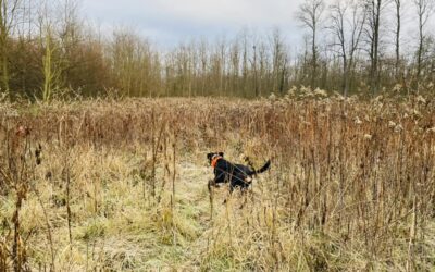 Ez az év is jól kezdődik