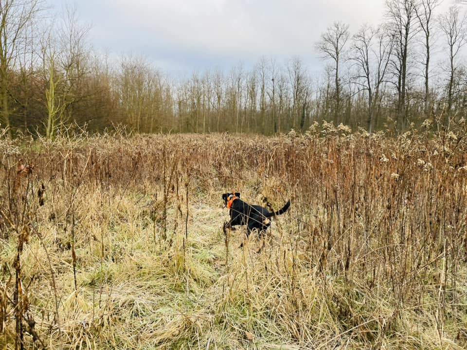 Ez az év is jól kezdődik