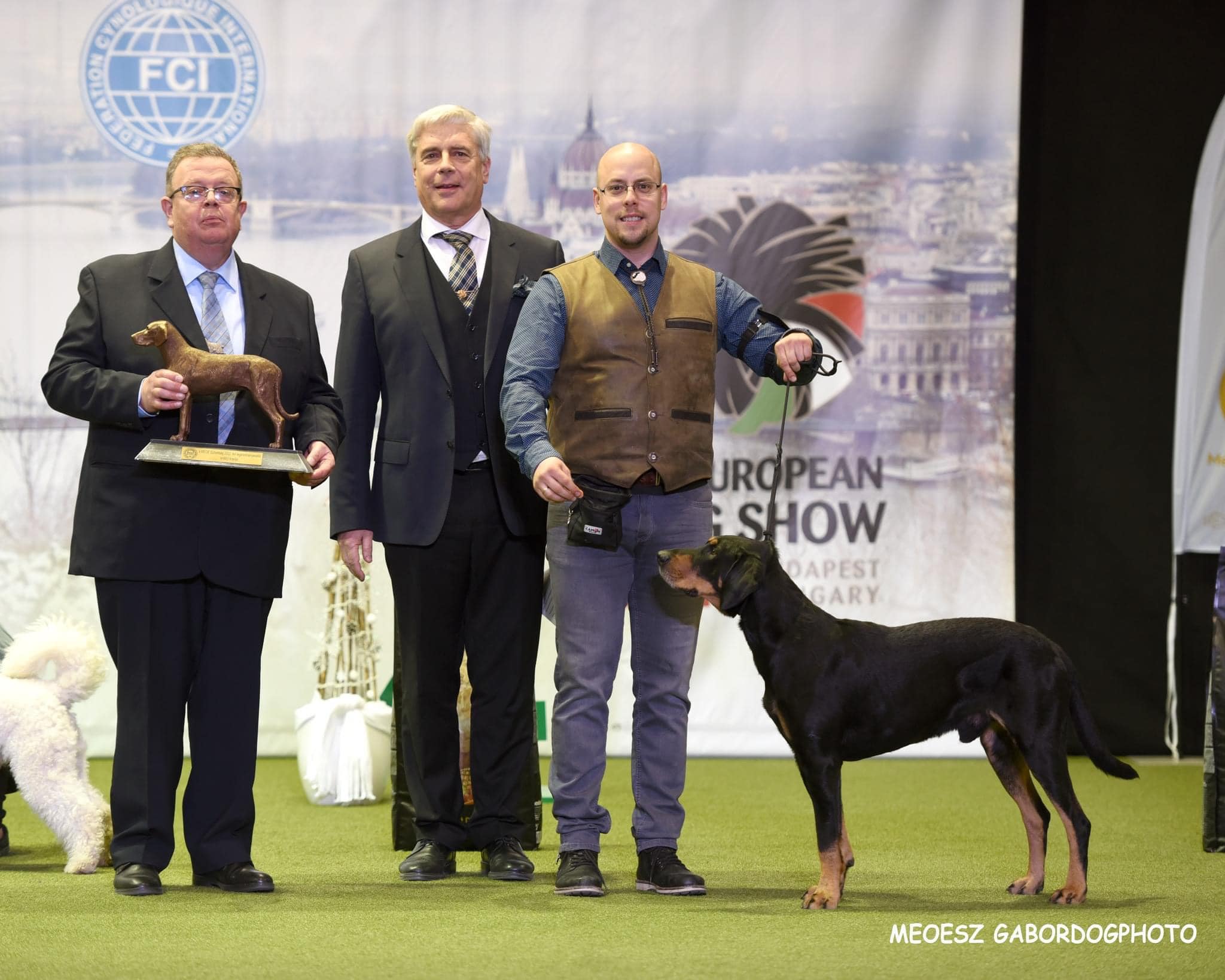 Dongó a 2022. év erdélyi kopója