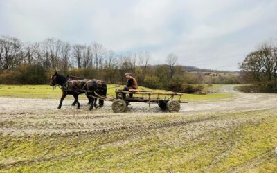 „Édes Erdély itt vagyunk!” – Egy megvalósult álom