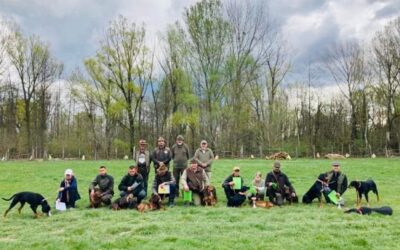 Plájász Dongónk CACT címe