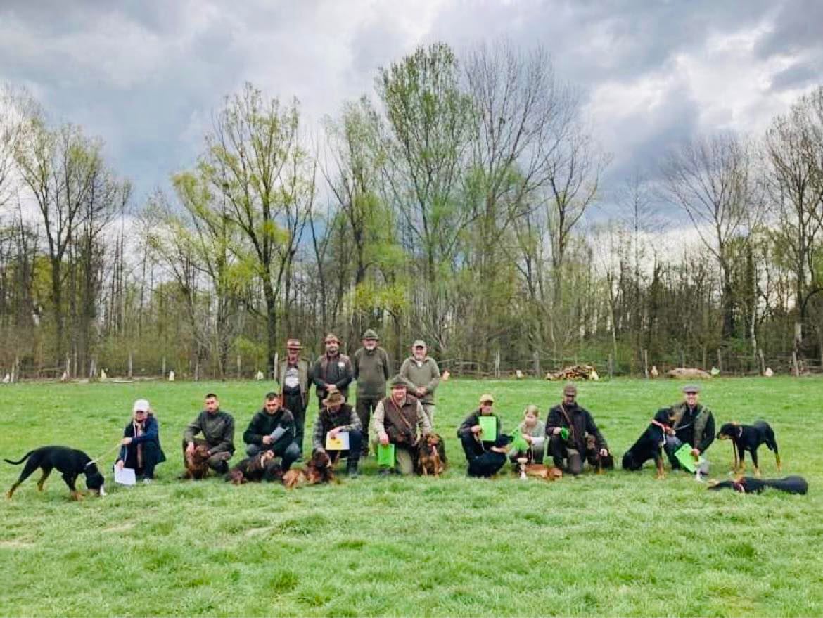 Plájász Dongónk CACT címe