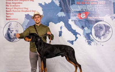 Zete a ringben – túl az első nyílt osztályos versenyén