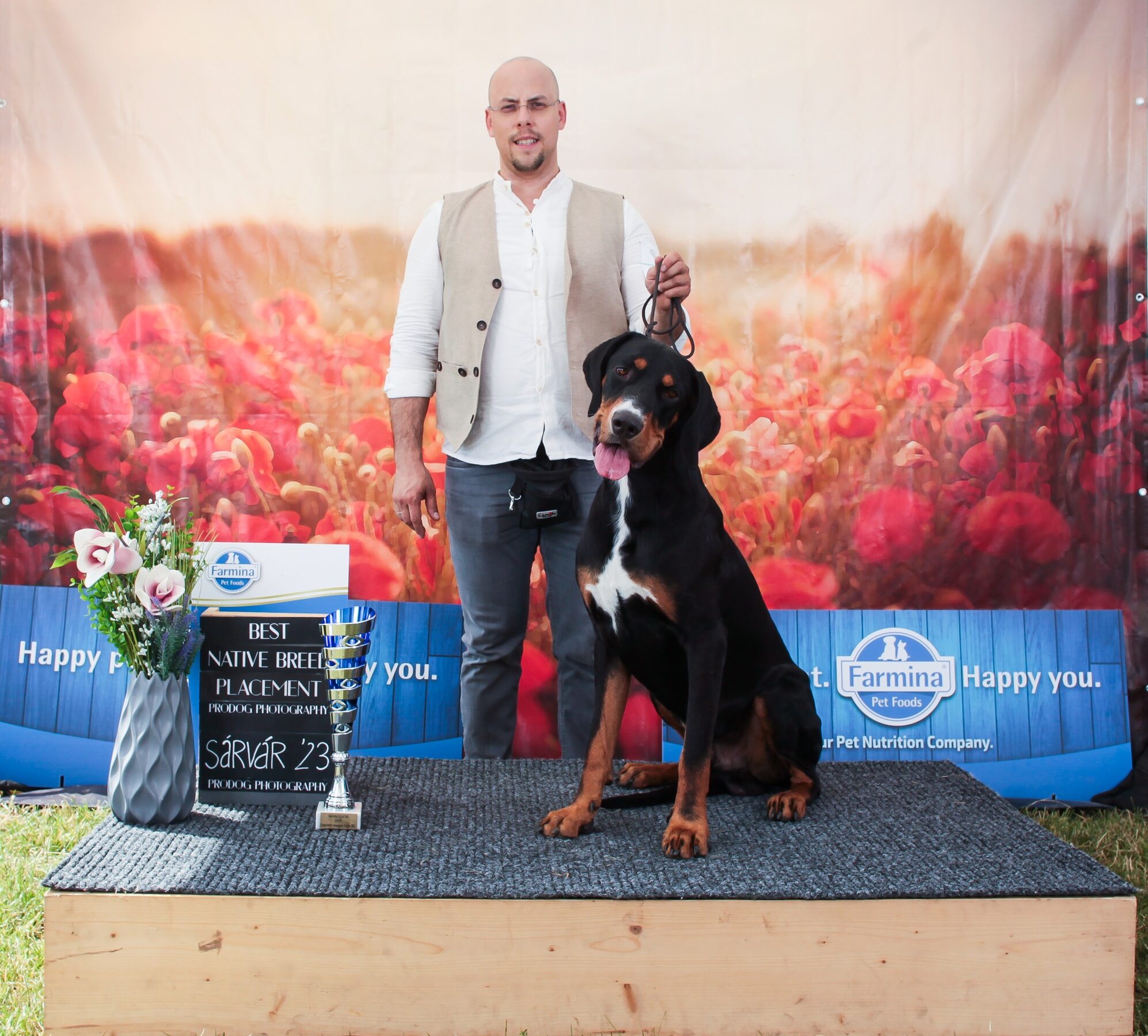 Sárvár Summer CACIB Show Zetével