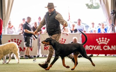 Zete maratoni versenyzésben vett részt Komáromban