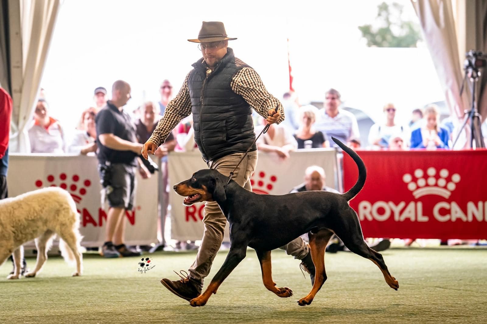 Zete maratoni versenyzésben vett részt Komáromban