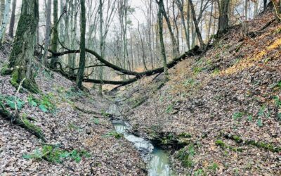 Dombháton, völgyben és latyakban