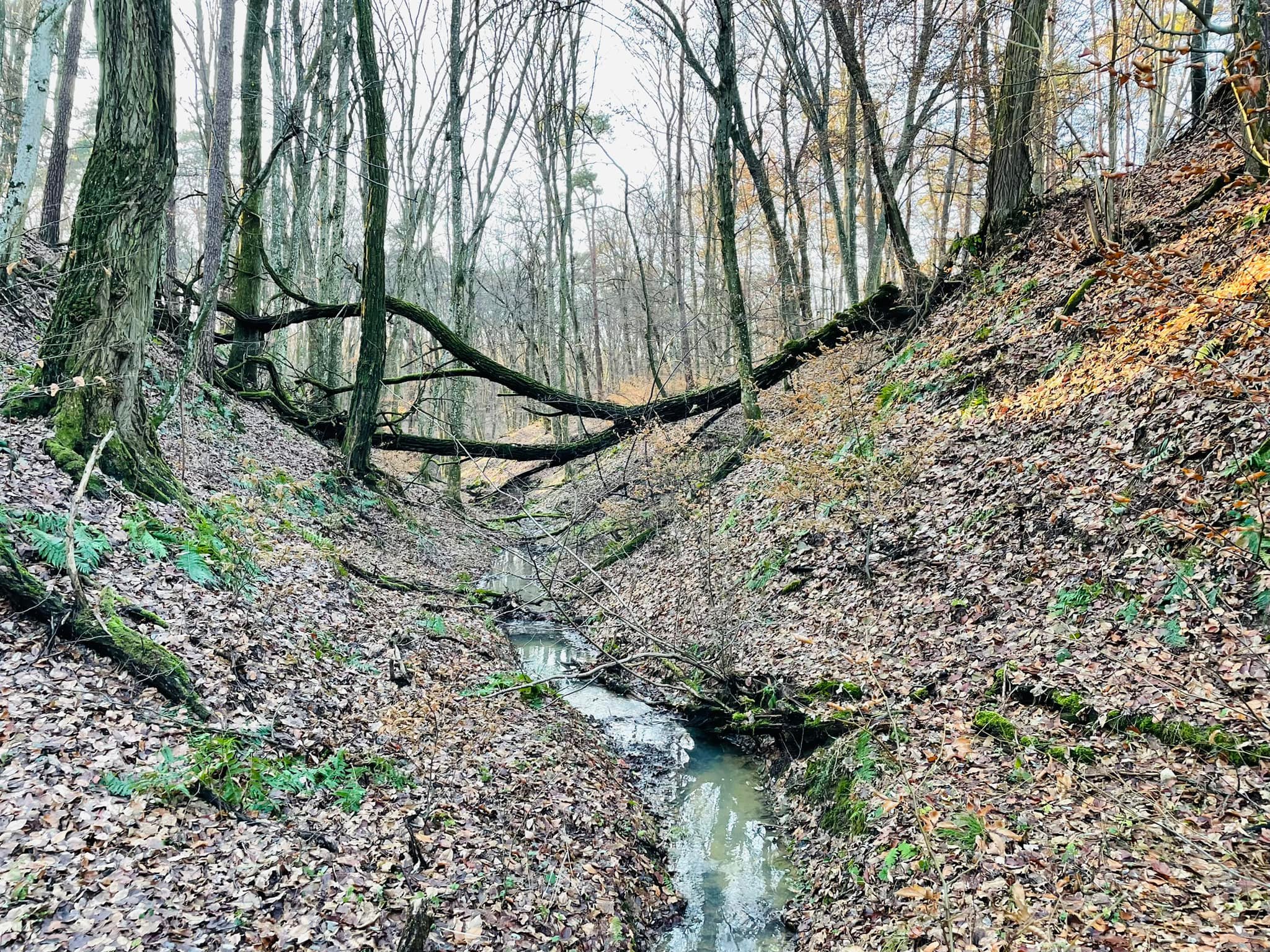 Dombháton, völgyben és latyakban