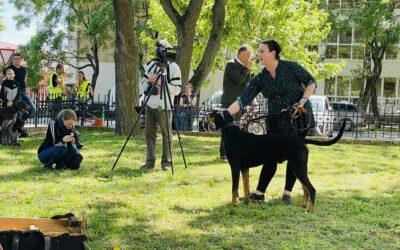 Fajtanépszerűsítés Karcagon