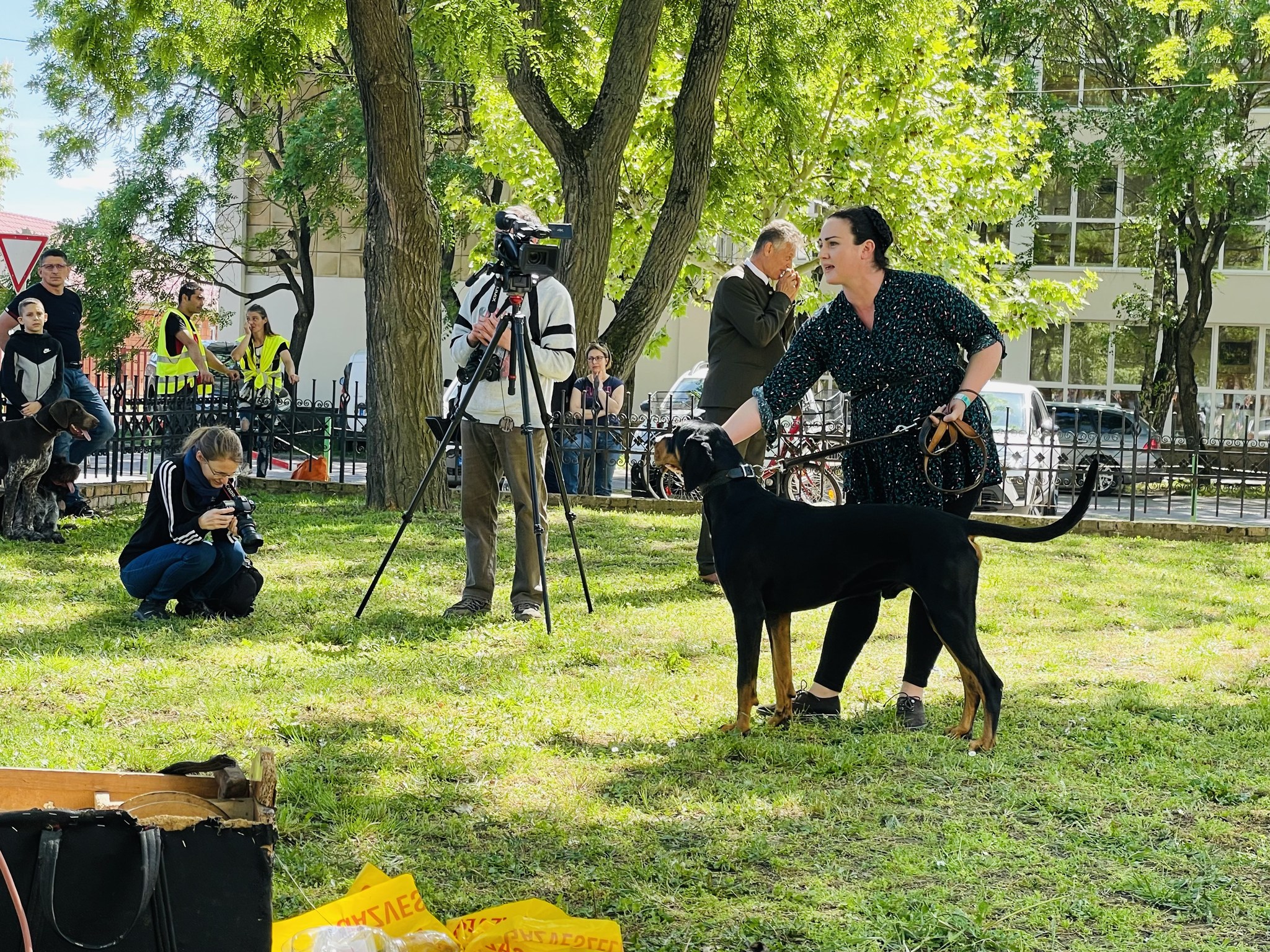 Fajtanépszerűsítés Karcagon