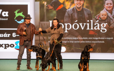 Az erdélyi kopó közelsége megváltoztatja az embert – Interjú dr. Bödők Gergellyel, a Kopóvilág alapítójával