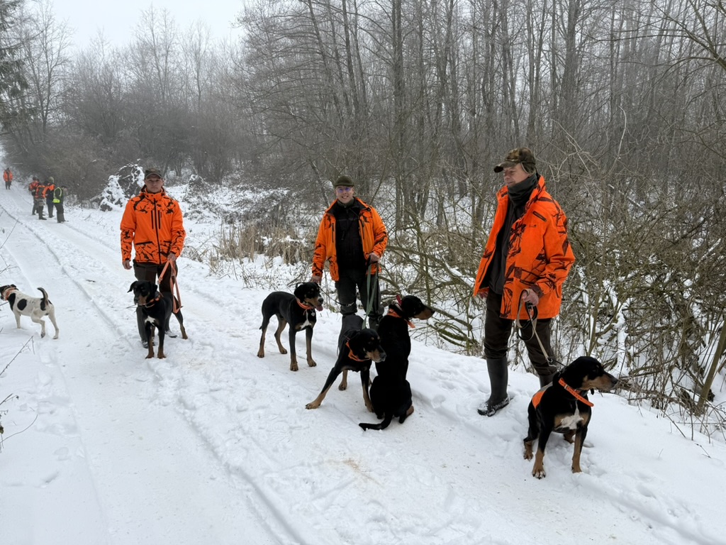 A magyar vadászatok története IV. – Vadászat új időkben: a rendszerváltástól napjainkig