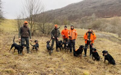 Kopók, hegyek, csillagok között