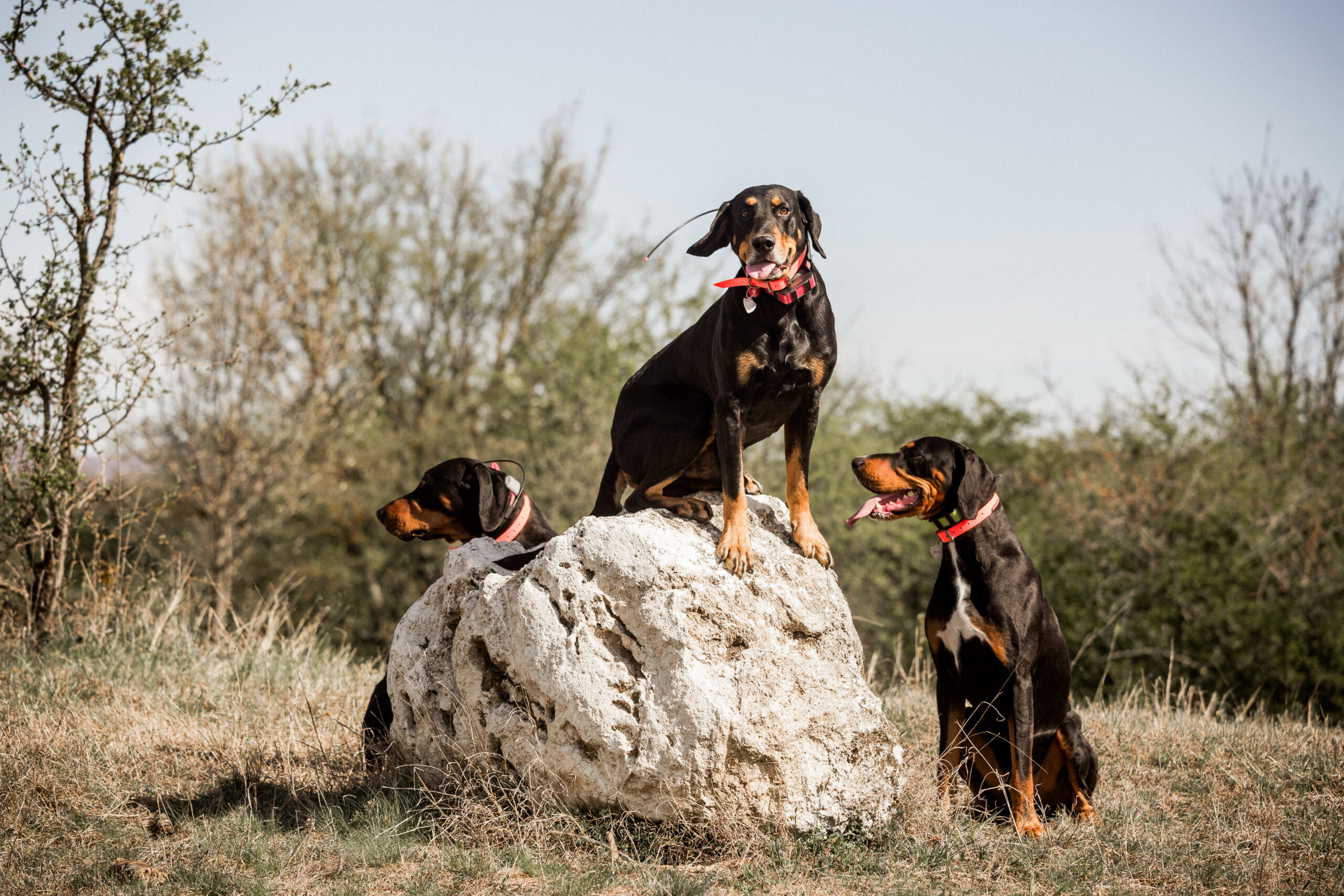 ff-8bdd996c24c892c32a636580aa1a0bc7-ff-20230215_D71A4698_039-scaled