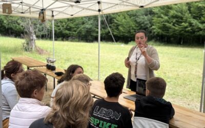 Erdélyi kopós és magyar vadászkutya-történeti előadásaink júliusban