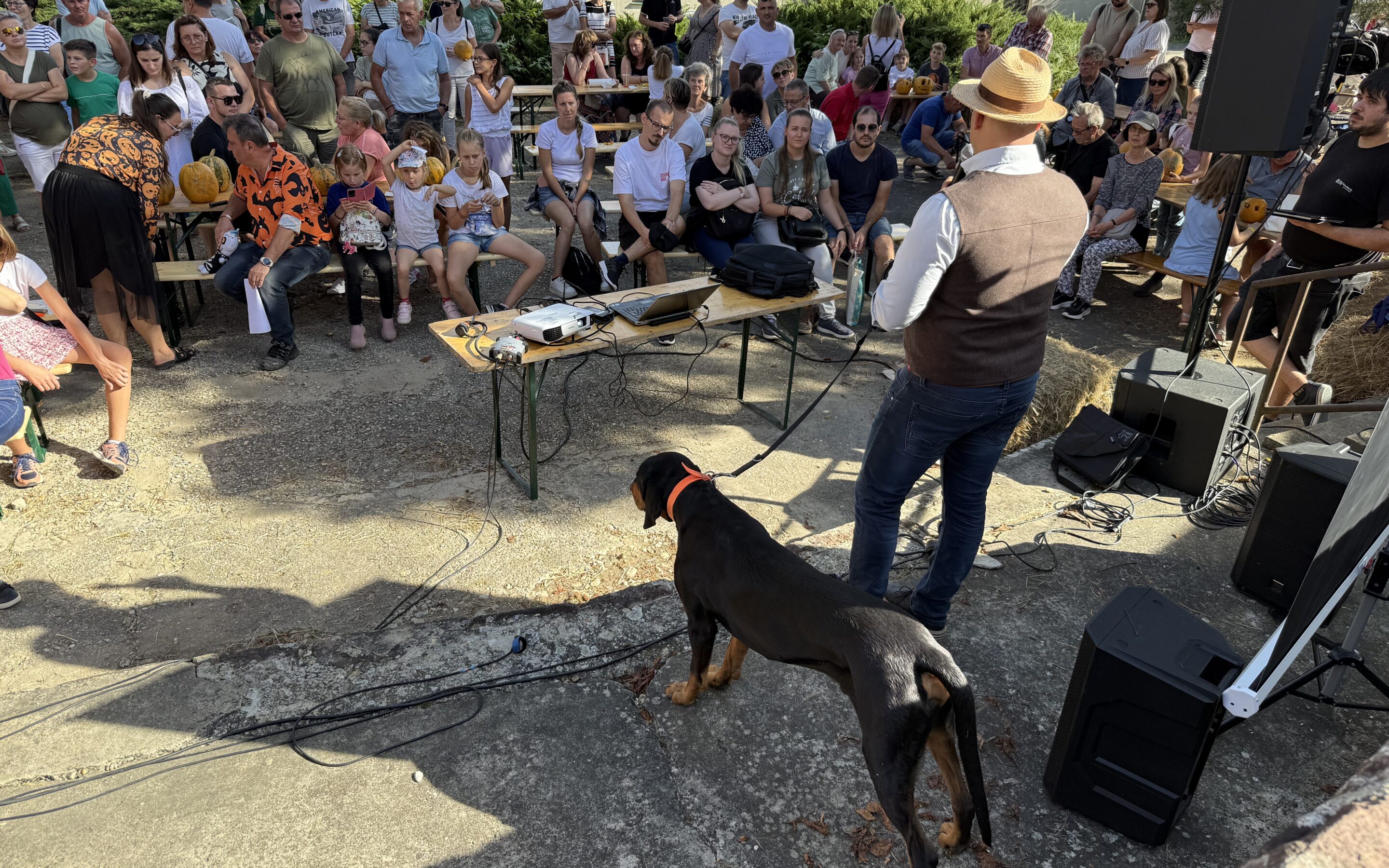Kopós kalandok – Szeptemberi élménybeszámoló