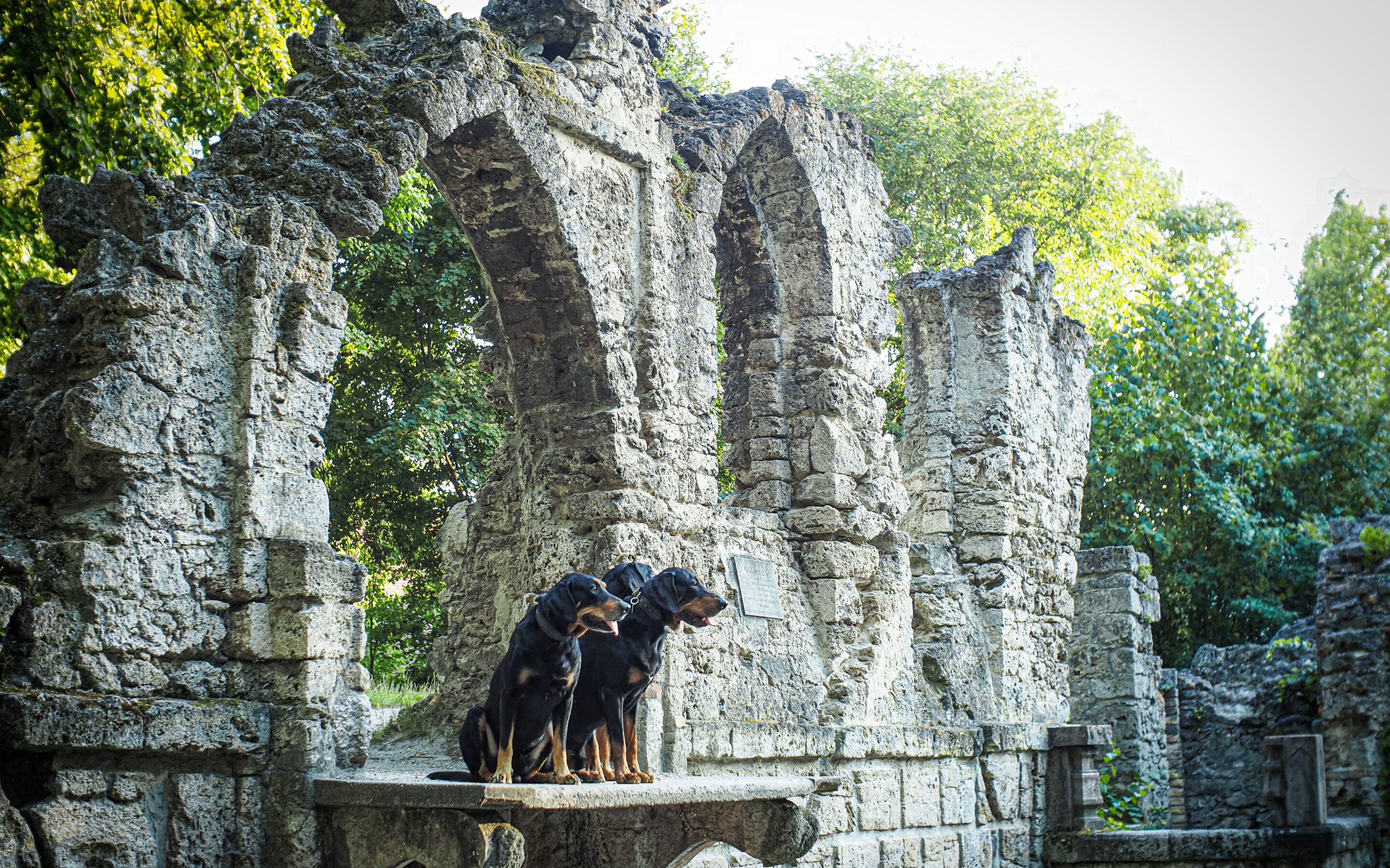 Nyári fotózás Solymos Ákos fotóművésszel a tatai Angolkertben