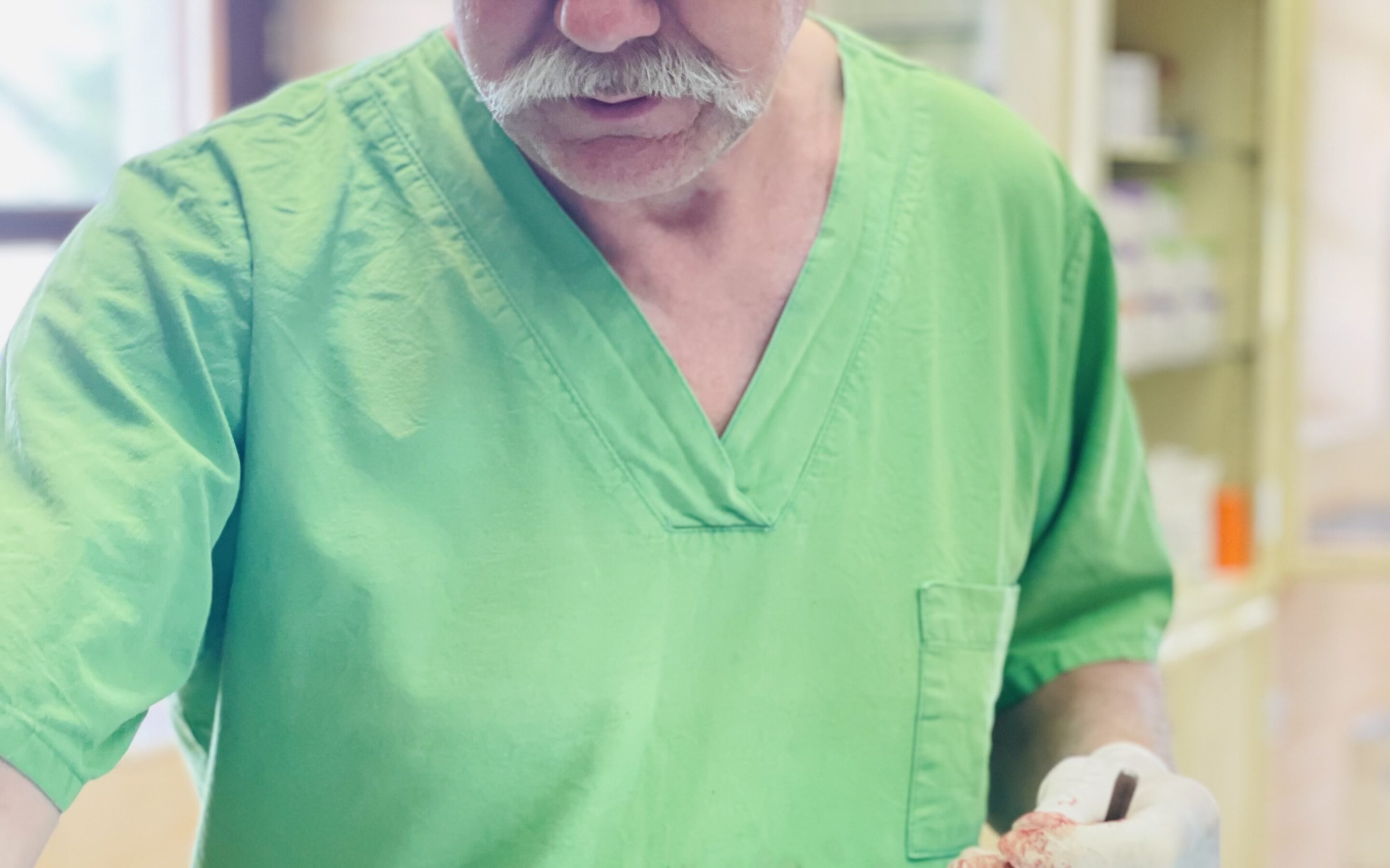 Az állatorvosokról – megmentőinkről