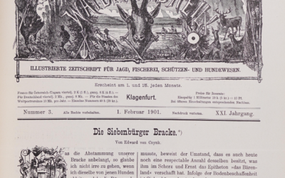 „Ki adta nekem vadászéletem legszebb óráit? A kopó.” – Czynk Ede 1901-es erdélyi kopó-leírása 125 év távlatából