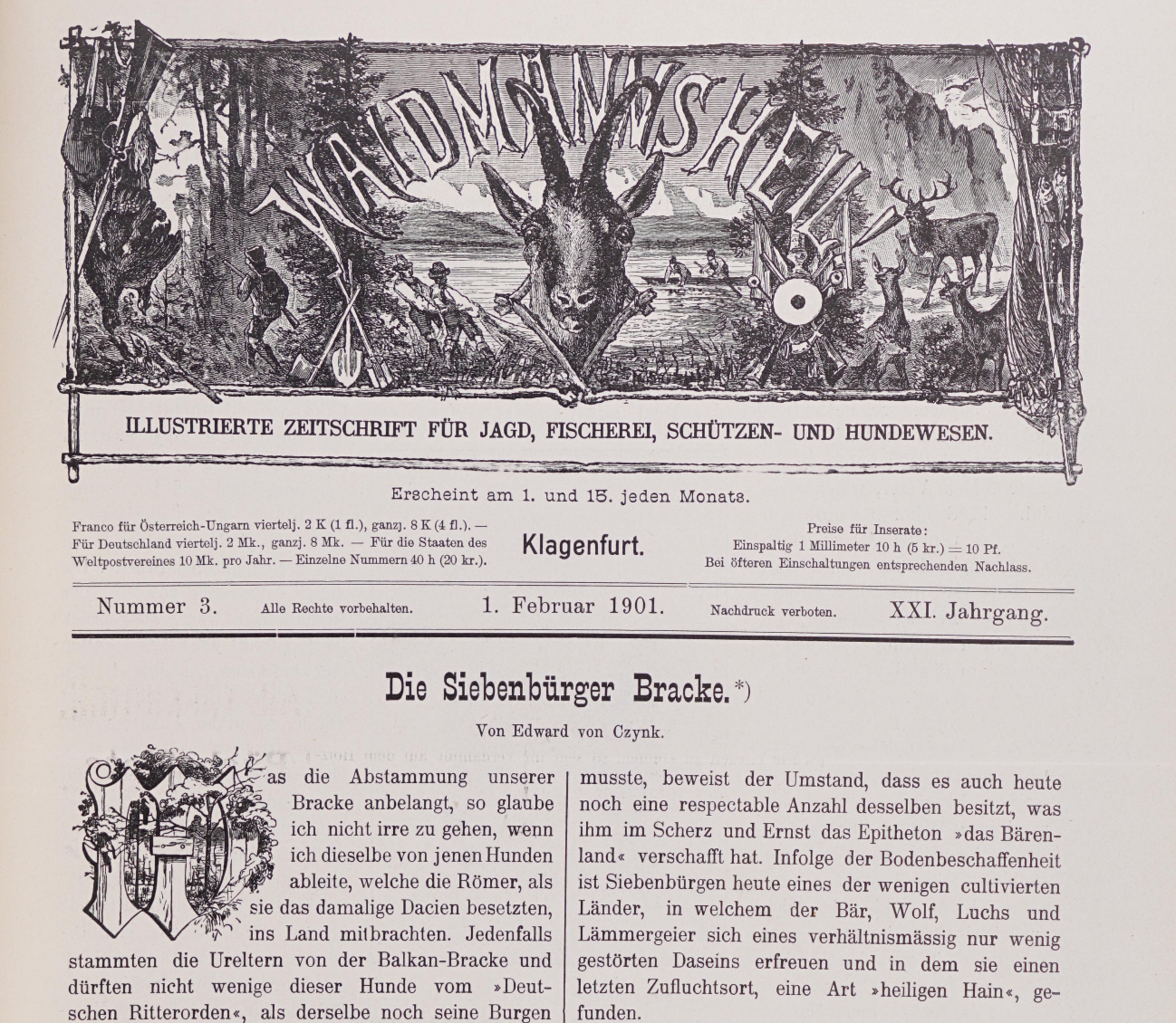 „Ki adta nekem vadászéletem legszebb óráit? A kopó.” – Czynk Ede 1901-es erdélyi kopó-leírása 125 év távlatából