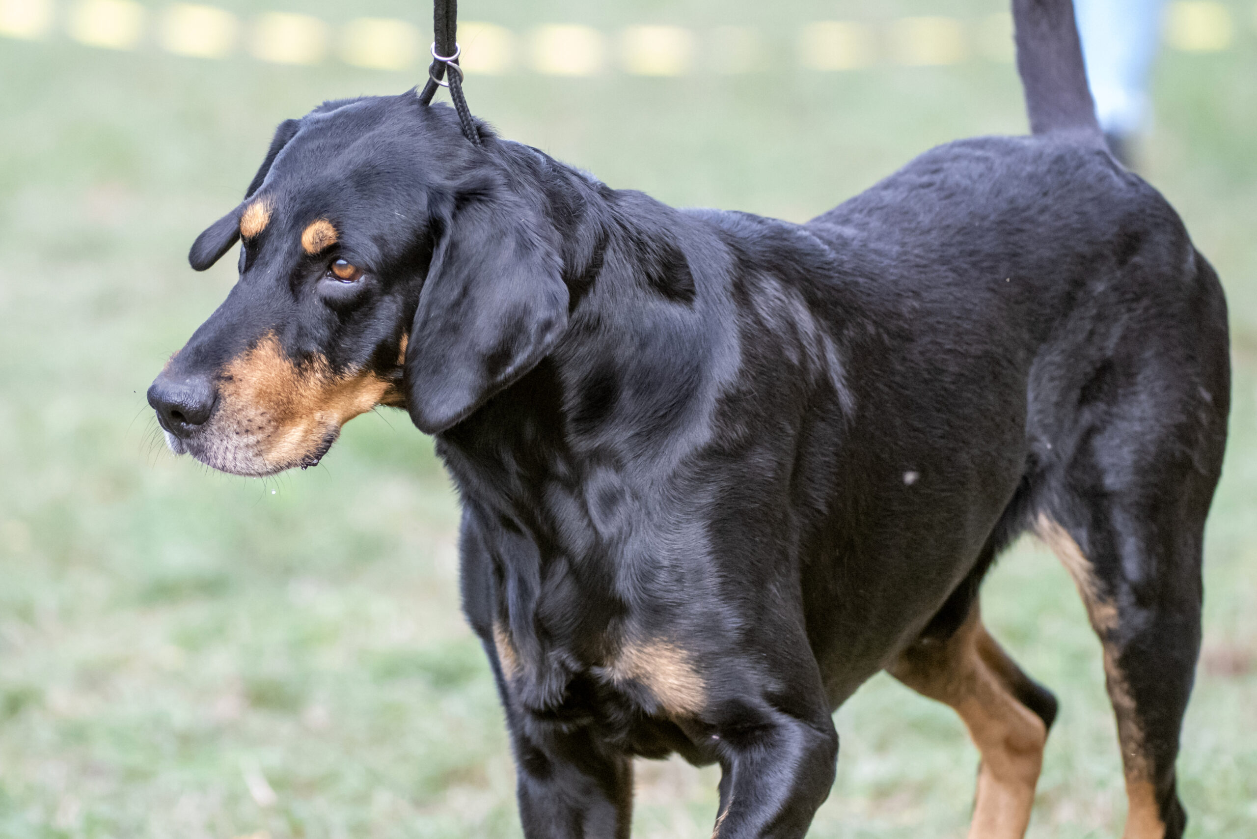 ff-8bdd996c24c892c32a636580aa1a0bc7-ff-20230215_D71A4698_039-scaled