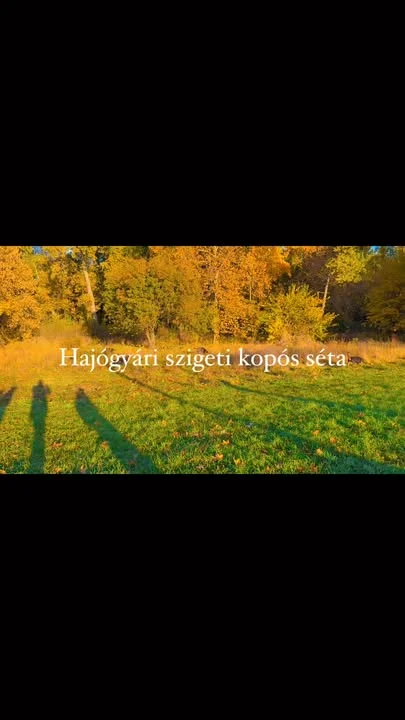 Újra sikerült egy közöset sétálnunk a Hajógyárin. Kilenc kutya rajzott körülöttünk, ebből nyolc kopó, köztük most először egy kicsi kan. Gyönyörű időnk volt, borongós köd, enyhe hideg és napsütés.:-) #kopósséta #kopóvilág #jóegyütt