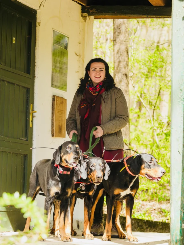 Alsó és felső battonyai nemes, nemzetes és vitézlő Roczkó Zsuzsanna nagys. asszony a pilisi vadászházuk bejáratánál erdélyi kopói körében.😉(Fotó: Andrea Ivor (Ivoryfoto by Ivor Andrea)#kopóvilág #fotó #pózolás #ivorandrea