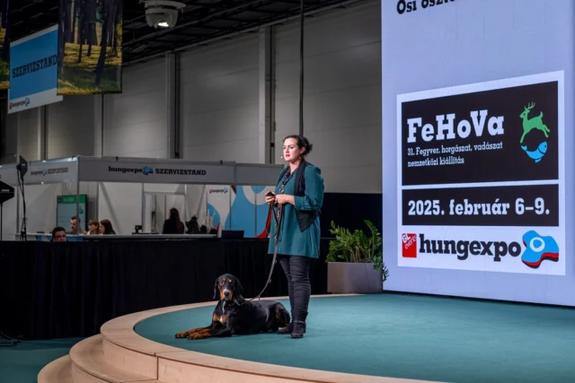 Urbánus kopózás – Vadászkutyatartás a fővárosban a 21. században (Zsuzsi előadása a FeHoVán, 2025. február 7.) #előadás #hungexpo #fehova #erdélyikopó #vadászkutya #vadászat #mindennapok